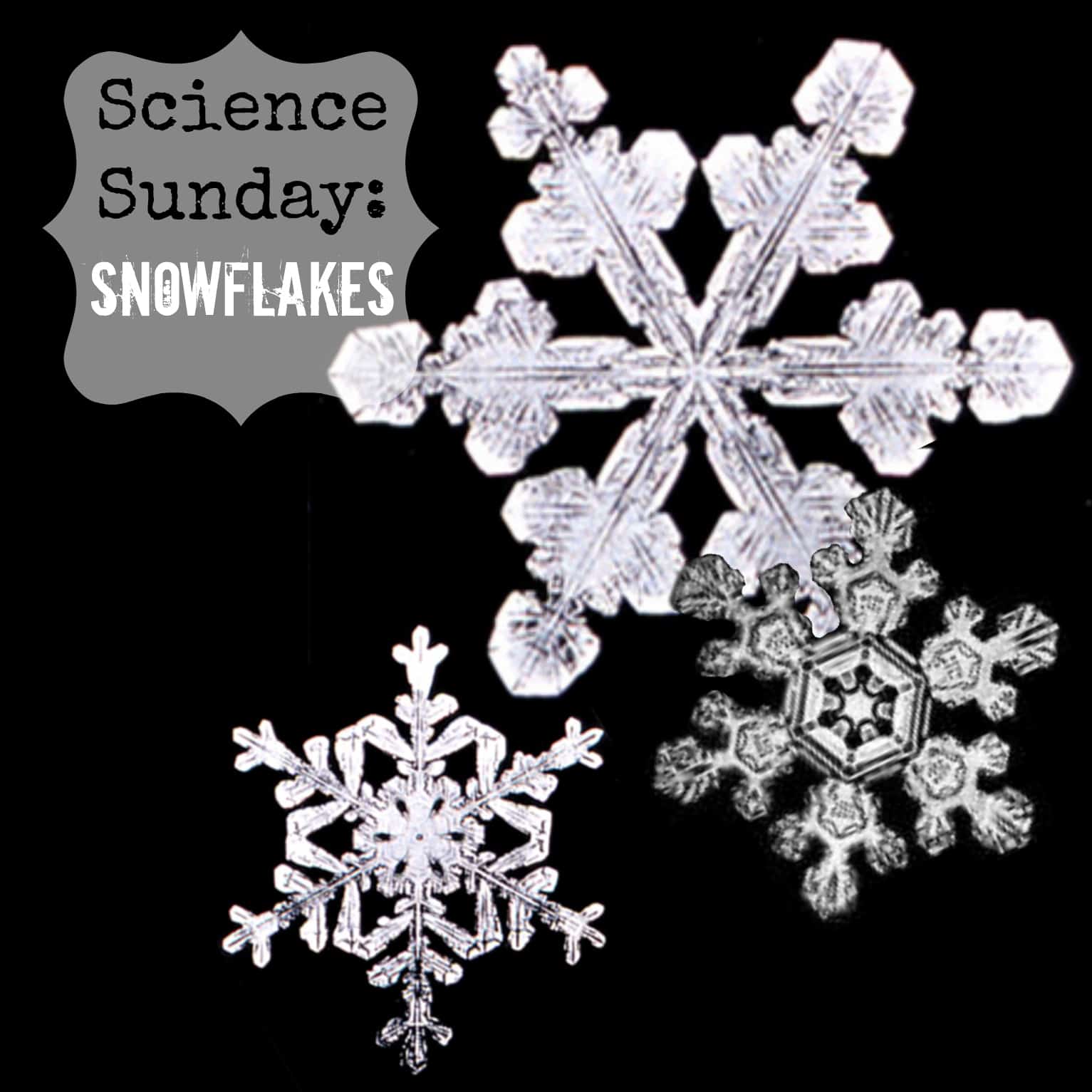science sunday:  snowflakes
