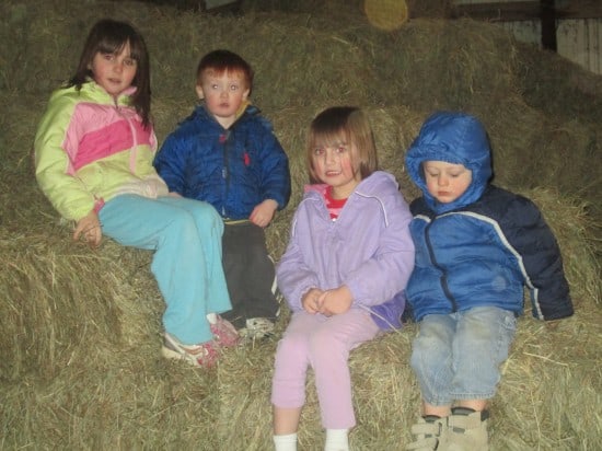 kids on hay bales