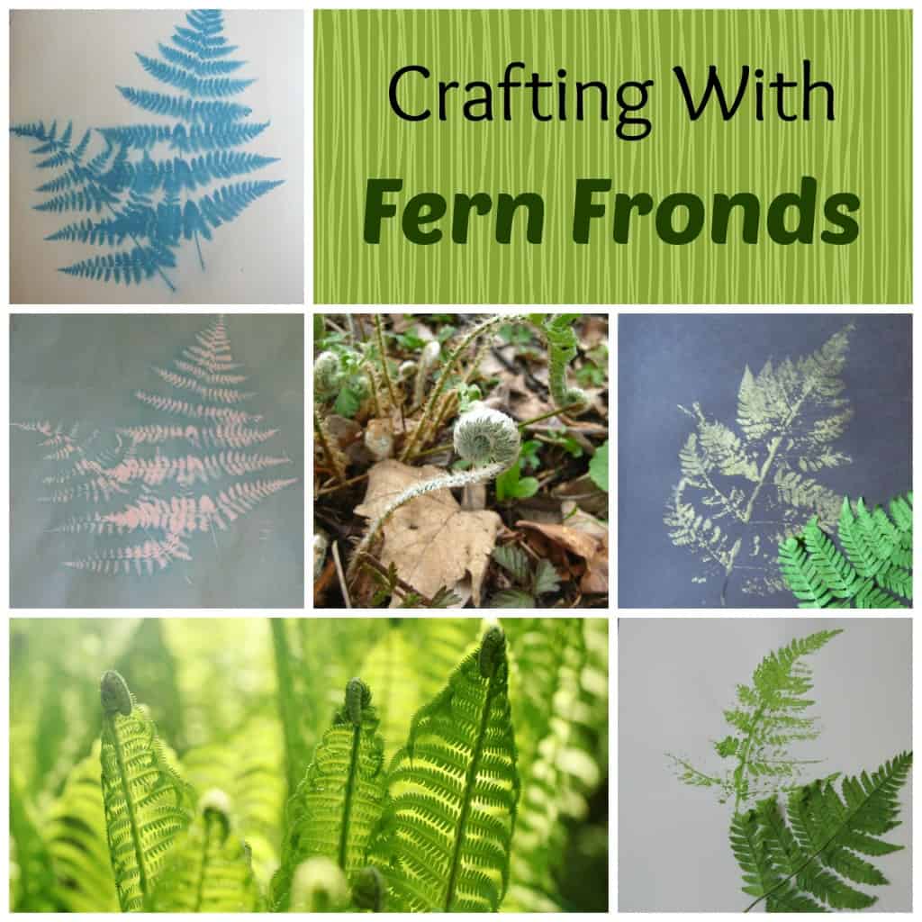 fern fronds collage